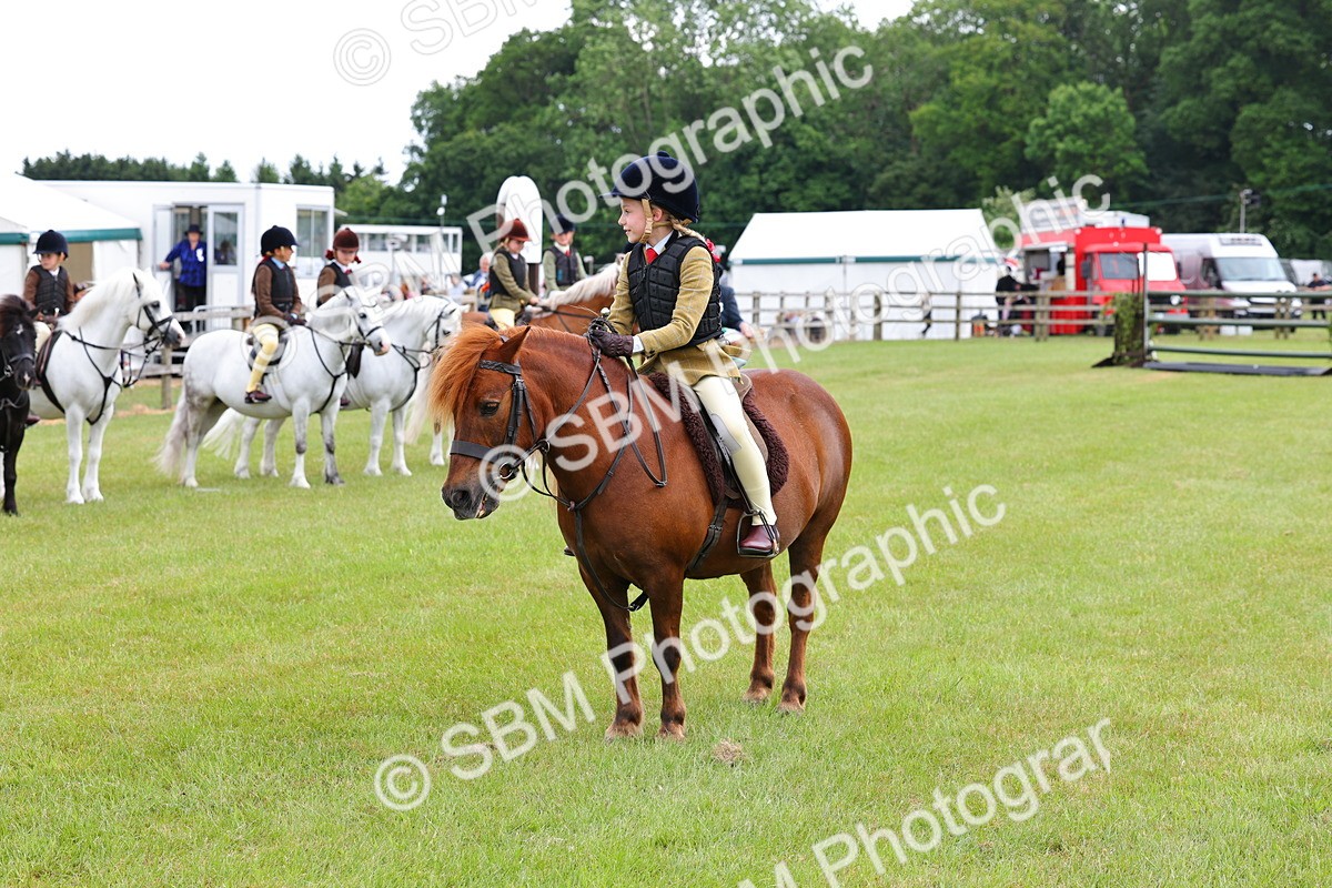 SBM_08650 - Class 42-43 - LIHS BSPS Heritage Working Sports Pony