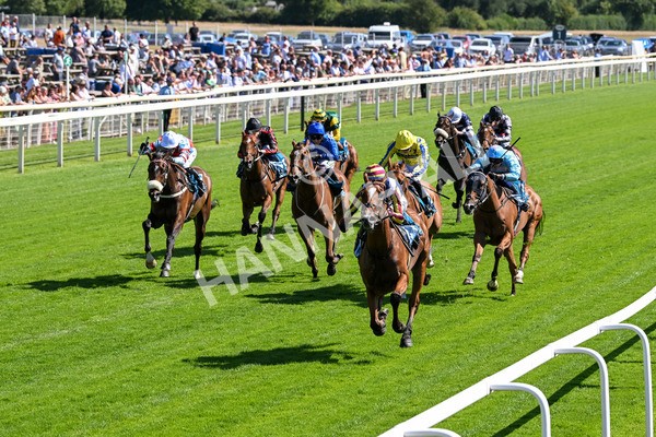 110725-Race 4-Dain Ma Nut In-4268 - Race 4 3.55pm Azets Handicap