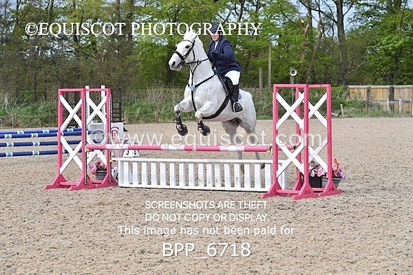 BPP_6718 - CLASS 2 FRI Club/ Unaffiliated 80cms Open