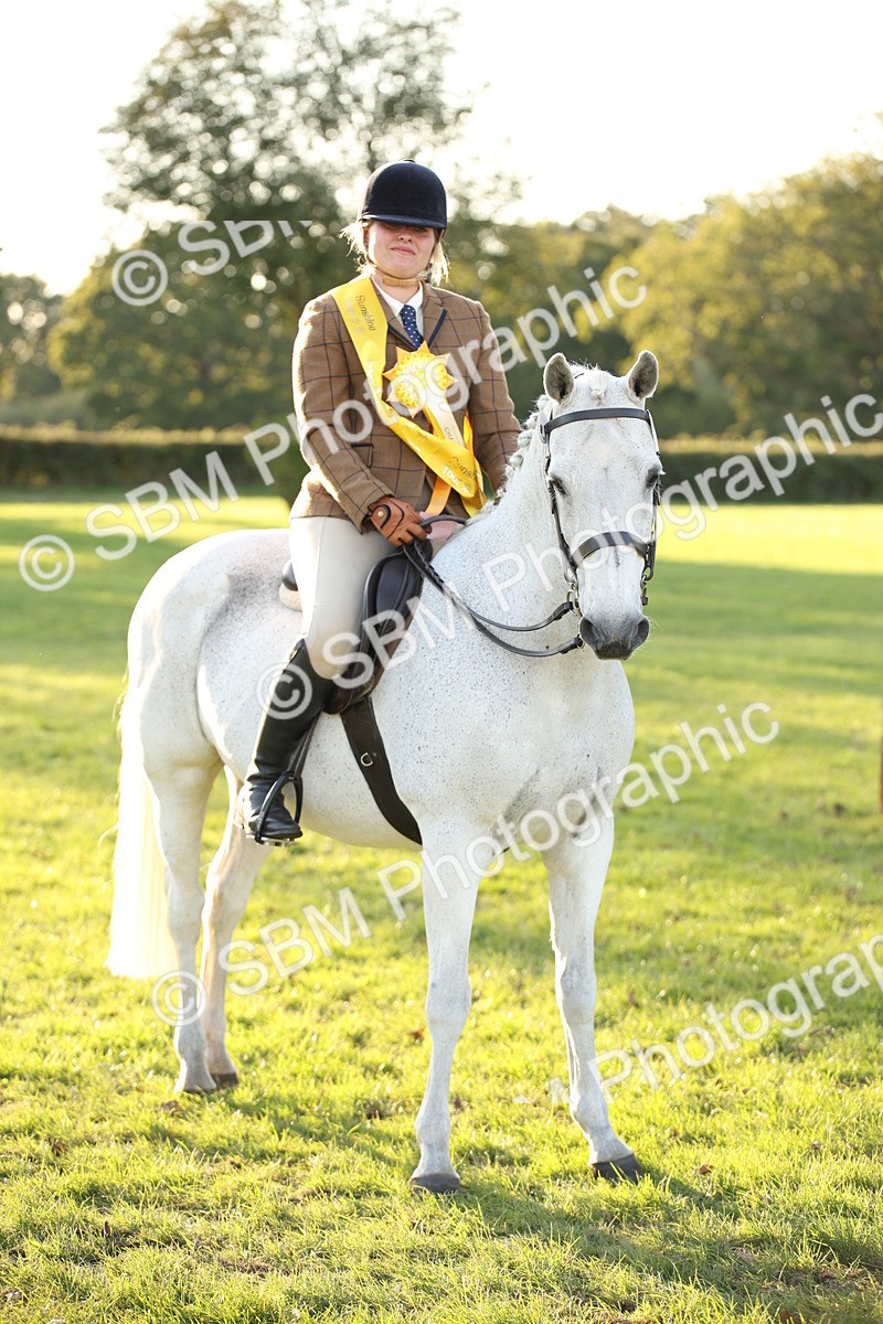 SBM_54487 - S27 - Mature Veteran - Ridden