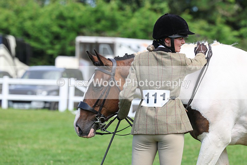 3E7A8739 - Class 5: Working Show Horse