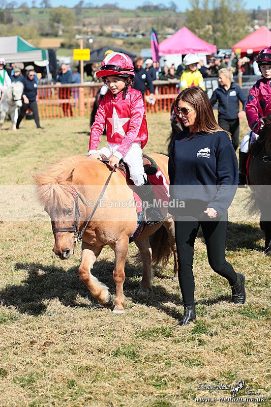 Shet 060426 108 - Shetland Pony Racing Paxford Races Easter Mon 06/04/26