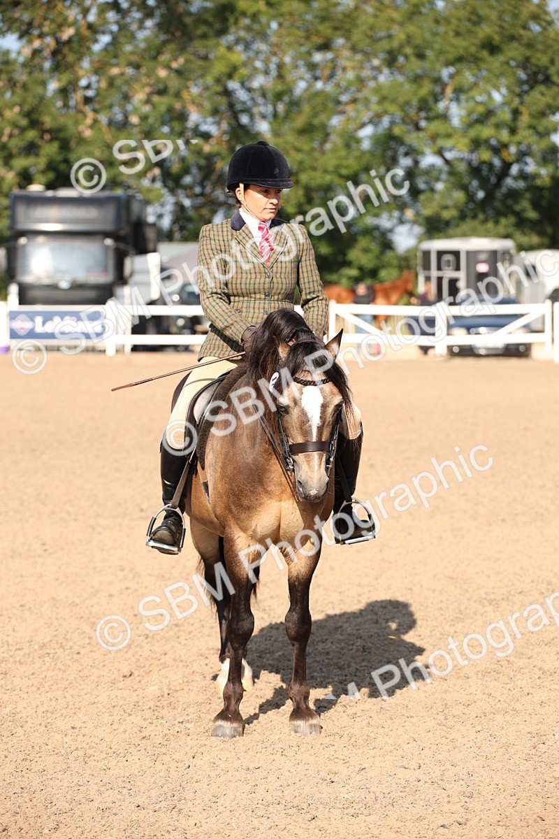 SBM_00766 - Class 14 Ridden M&M Wildcard