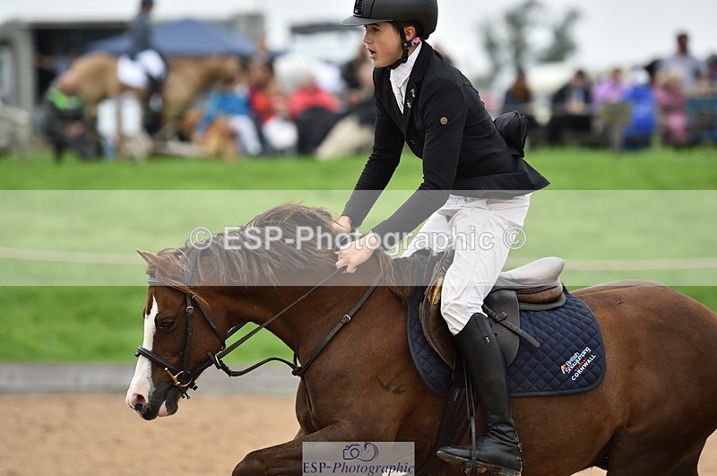 230902A-114018-00801 - Cls 2B Pony Small 80cm