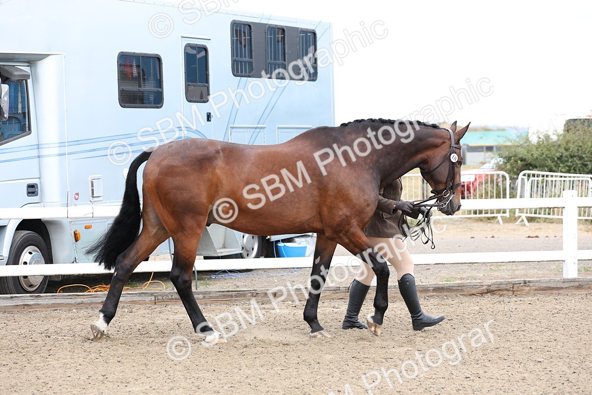 SBM_00002 - Class 50 - Best Turned Out IH