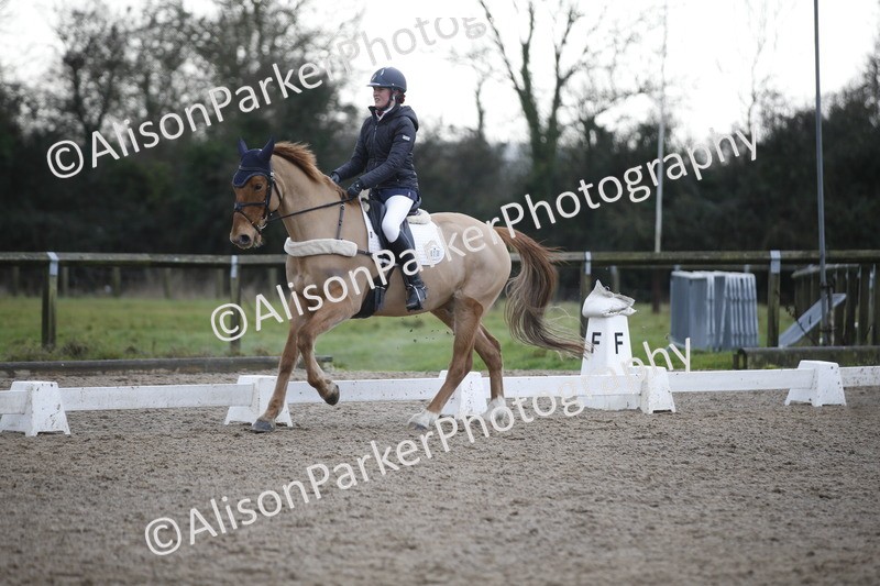 20260127-0323 - Class 16 - BD Novice 2