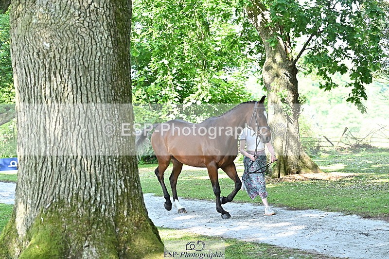 250521A-161126-00969 - C-208-Georgie.Frow-MBF.OLD.MEL