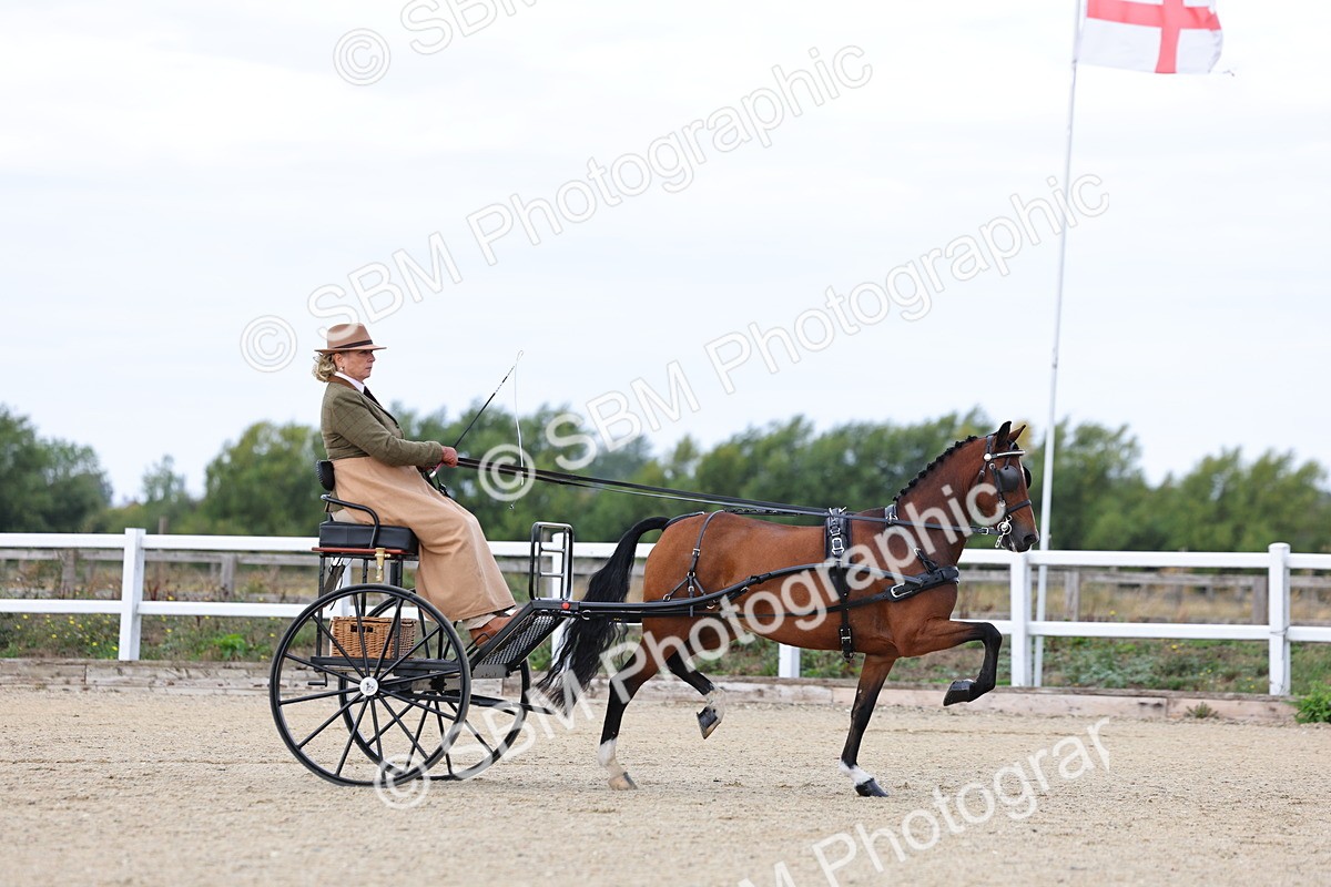 SBM_000254 - Class 2 - Exercise Vehicle 13.2hh & Under