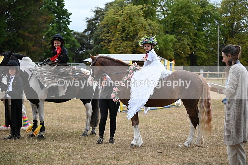 WJ6_9224 - Class 11 Fancy Dress