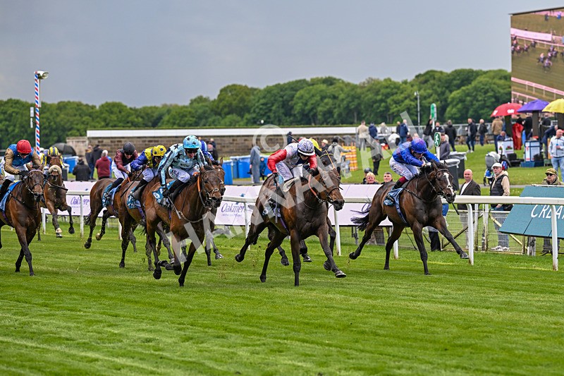 140526-Race 3-Maybe Not-4887 - Race 3 2.55pm Oakmere Homes Hambleton Handicap