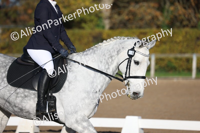 20251102-0257 - Class 2 - Prelim 6