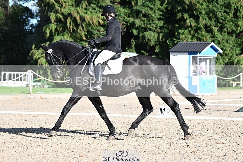 231110-134630-01053 - Cls 4 Novice 39Q