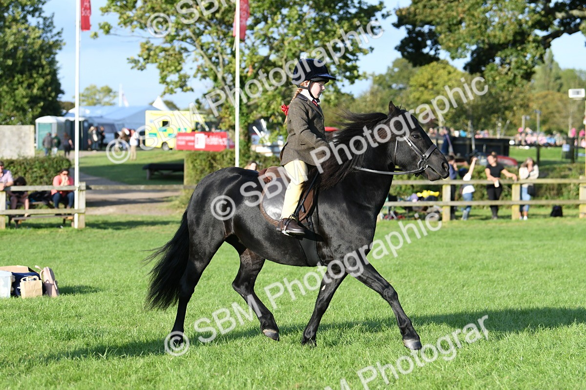 SBM_54068 - S23 - 1st Ridden Mountain & Moorland Pony