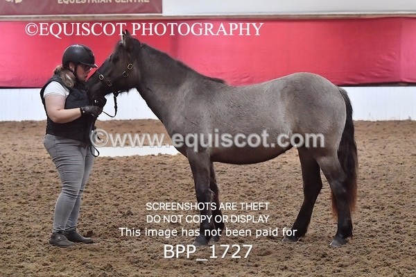 BPP_1727 - MORNING 9AM - 12PM