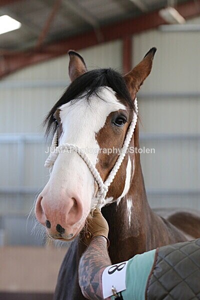 SIAL0236 - Indoor Classes