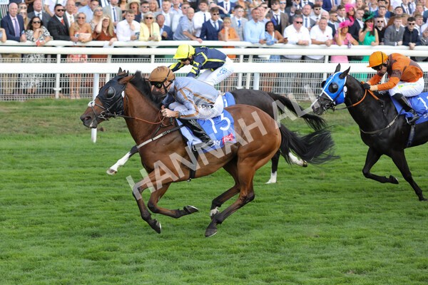 yr20082022r5-15 - Race 5 4.10pm Sky Bet Constantine Stakes