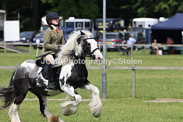 IMG_3173 - Working Hunter