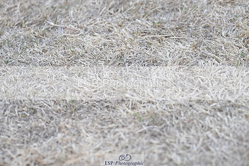 250823A-184028-34399 - All Sat Presentations