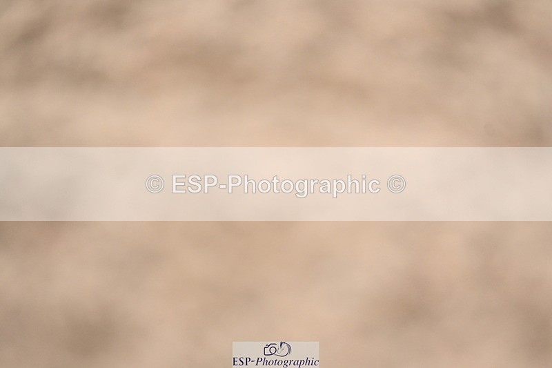 240323A-123637-02869 - DR Novice 34