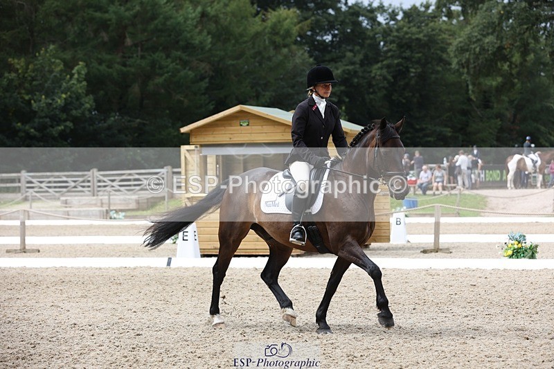 230812-122141-03996 - Cls 5 Novice Bronze 11.15 to 12.50 break