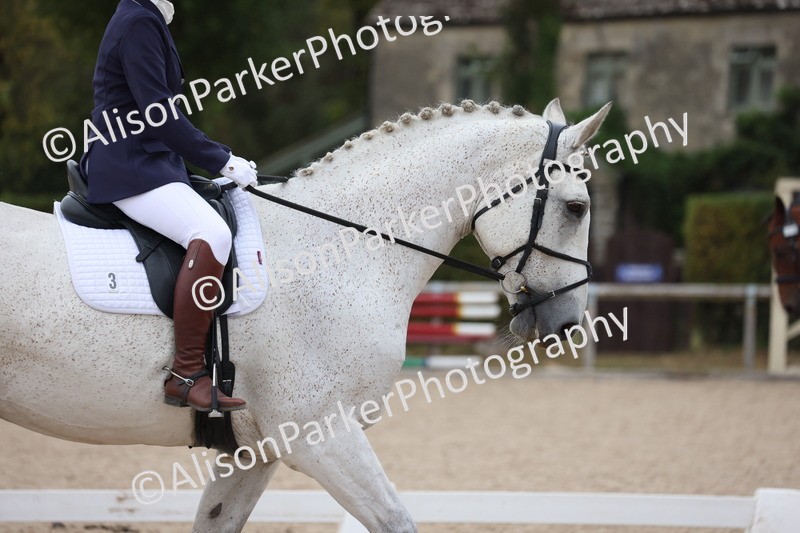 20250820-0308 - Class 11 - My Quest Novice 3