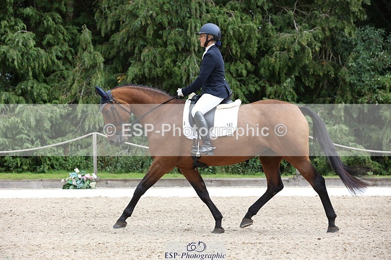 230812-150148-05026 - Cls 5 Novice Bronze 15.00 to End