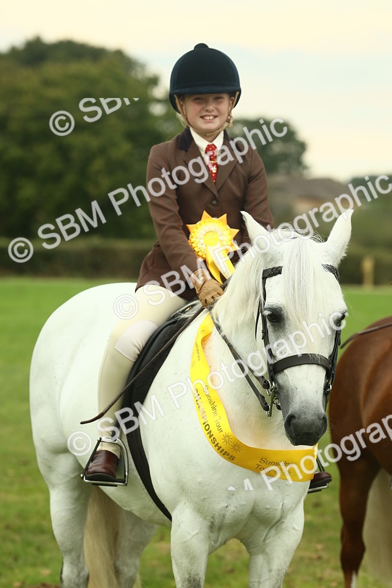 SBM_72311 - S60 - Mountain & Moorland Ridden Large Breeds