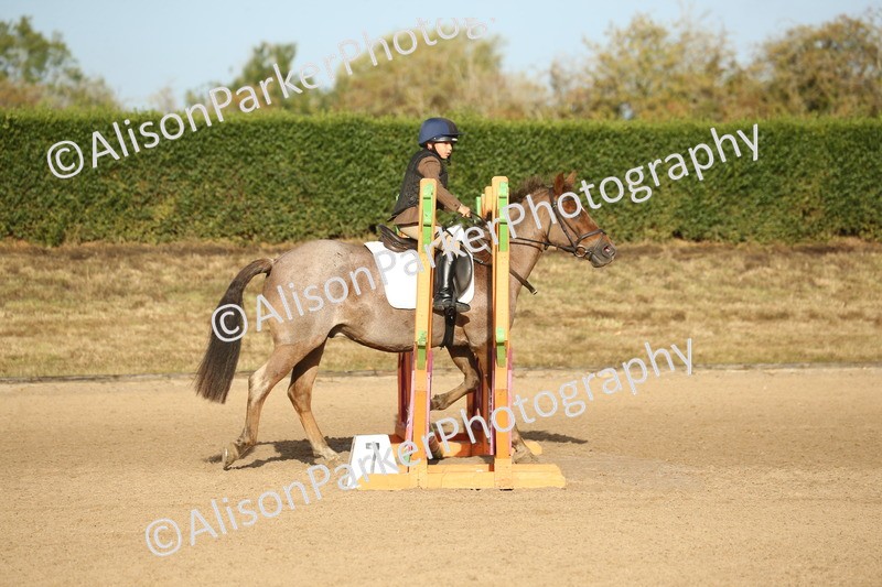 20250831-0008 - Class 1 - 40cm