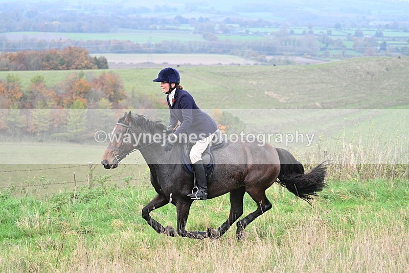 WJ7_0013 - Camera 1 & Last fence