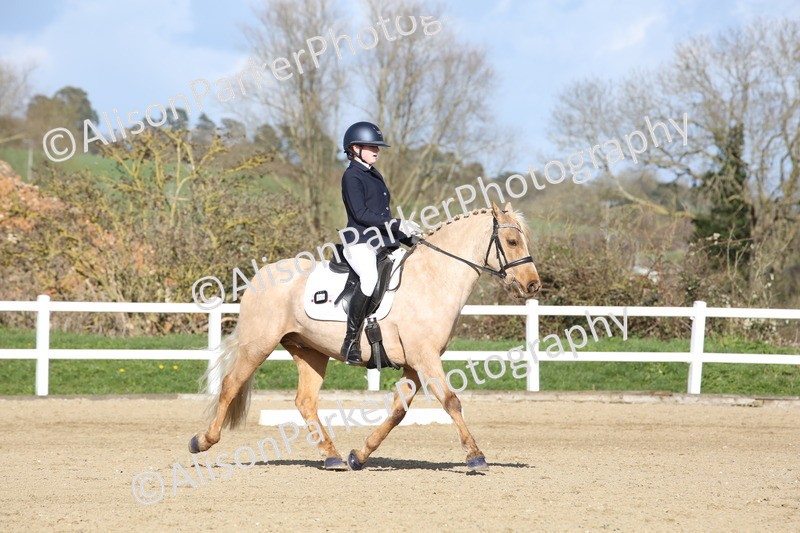 20260314-5174 - DR6 - Novice 2