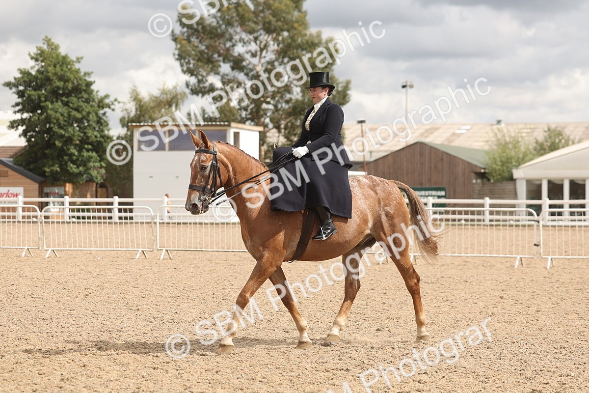 SBM_06344 - Class 22 - SSA - Equitation