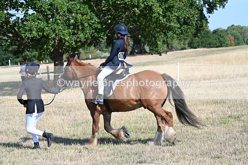 WJ7_3025 - Class 8 Ridden Tack & Turnout