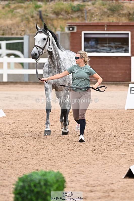 250716-143639-01240 - Trot Up 2.30 to 3.30