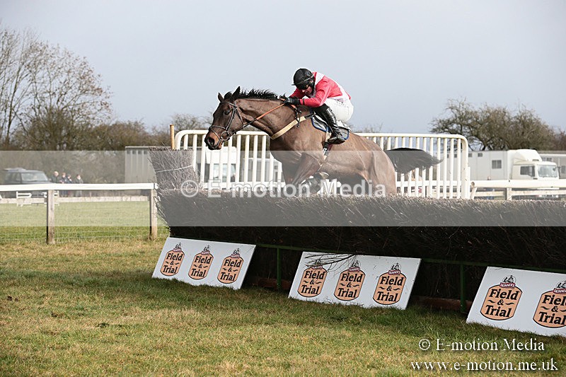 PtP 270119 131 - Cocklebarrow Races 27/01/19