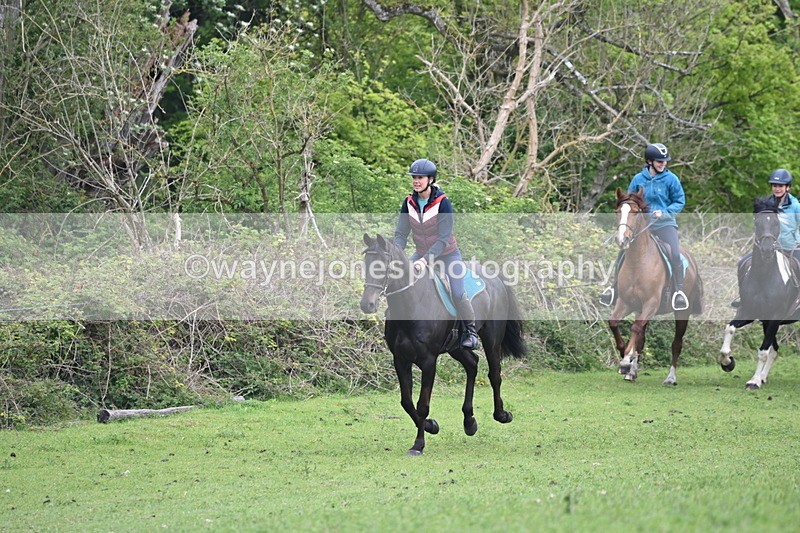 WJ6_2921 - A Camera