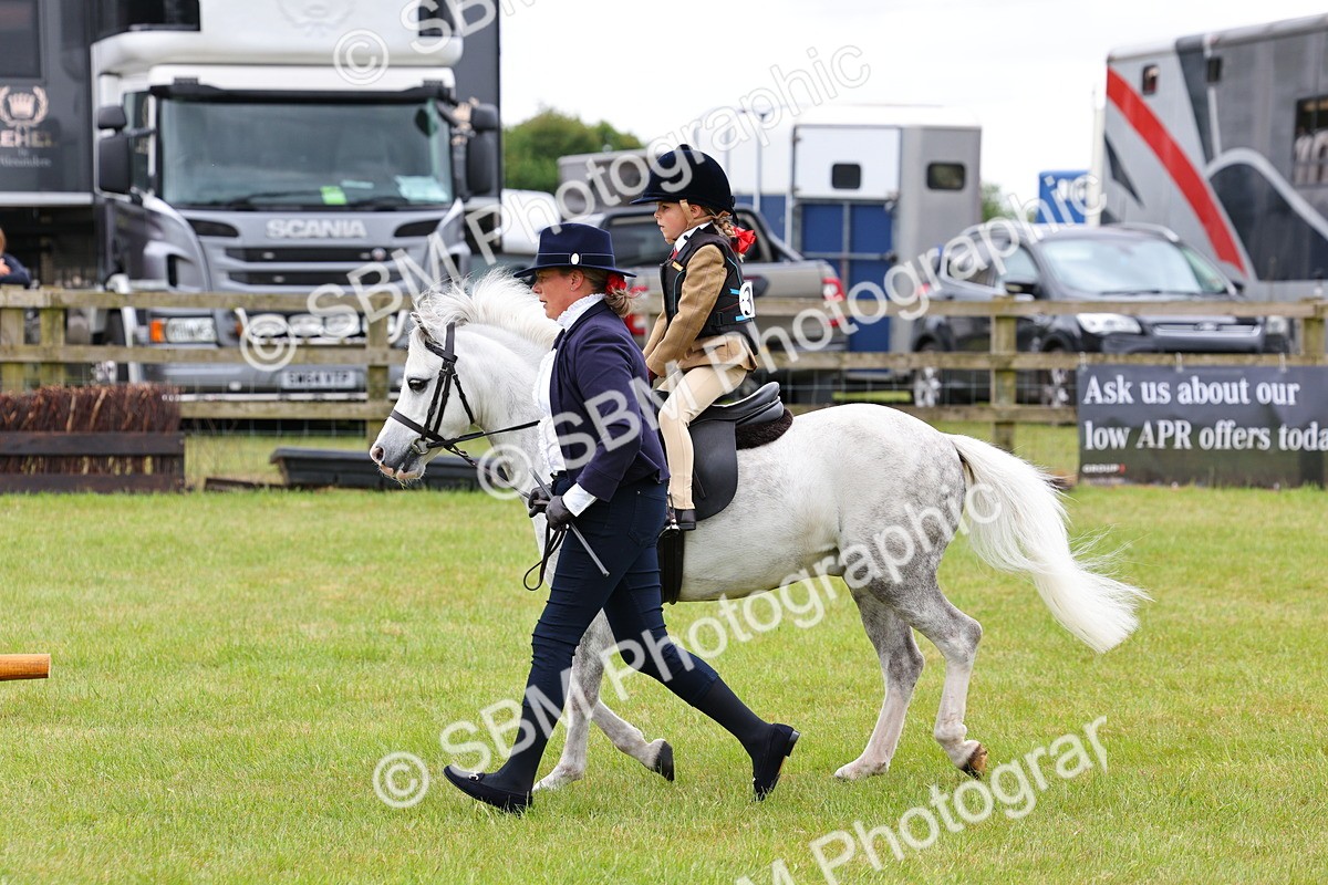 SBM_08126 - Class 42-43 - LIHS BSPS Heritage Working Sports Pony