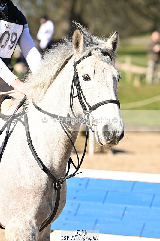 250302A-110023-01633 - Cls 01 70-75cm