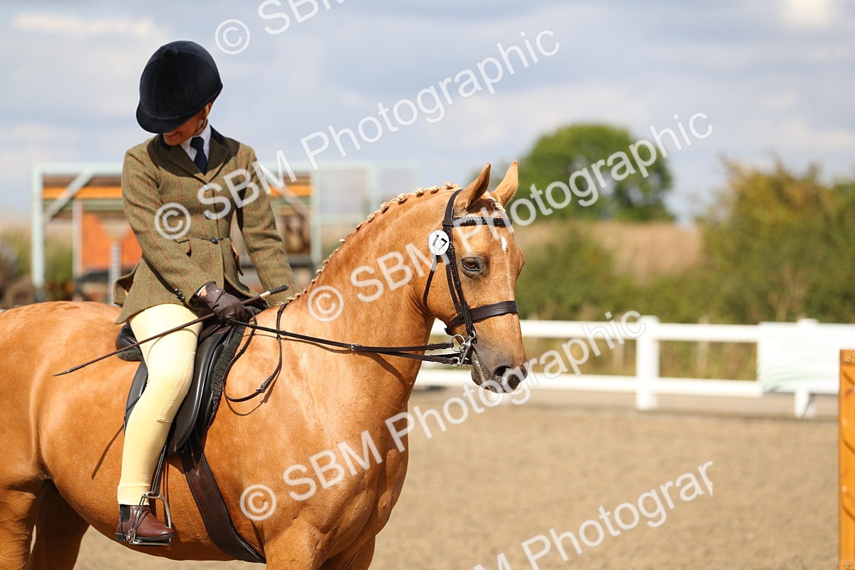 SBM_04194 - Class 46a Style & Performance 50cm (15-19)