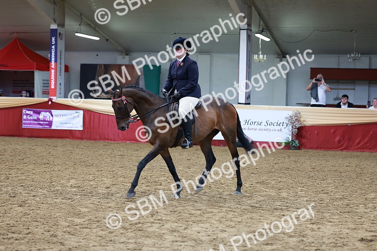 SBM_14947 - Class 108 - Ridden Retired Racehorse