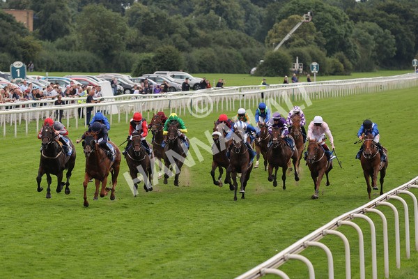 yr20082021r7-23 - Race 7 5.10pm Sky Bet Mile