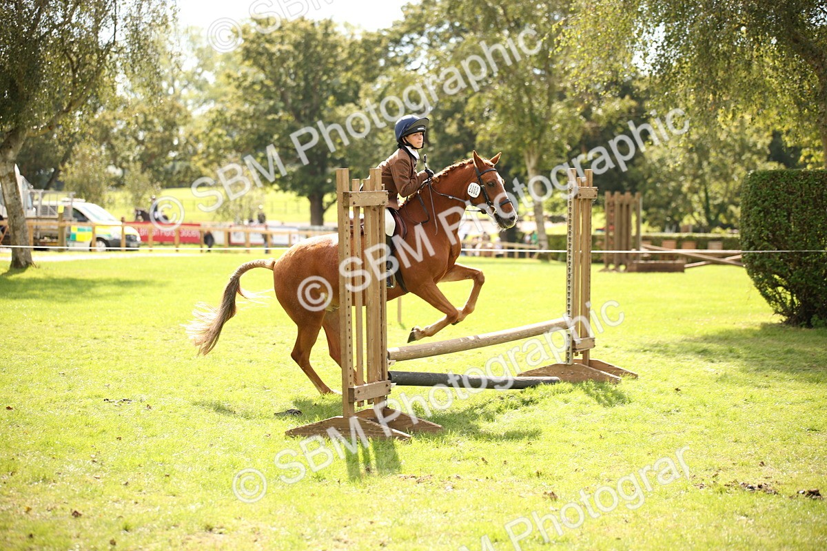 SBM_42270 - S13 - Pony Club Pony