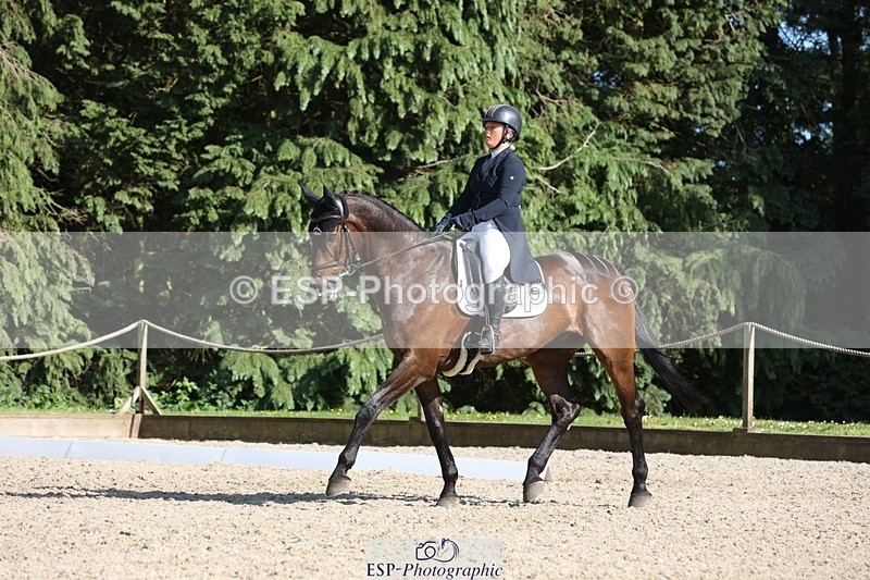 230526-172325-07964 - 178-RIDIRE_DORCHA-Lucy_Stimson-WEDTrotUp+DR