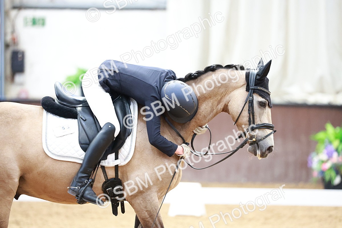 SBM_017244 - Class15 - FEI Pony