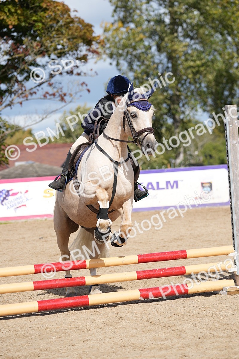 SBM_18135 - J58 - Clear Round 50cm