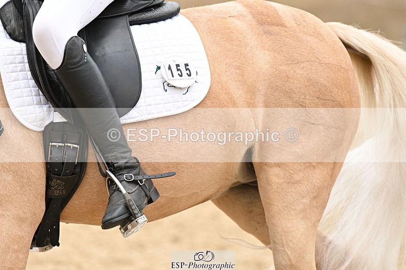 250808A-114014-00661 - 155-Rose.Cassapi-Westfirle.Golden.Oriole