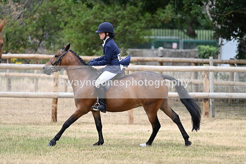 WJ7_0504 - Class 2 Best rider