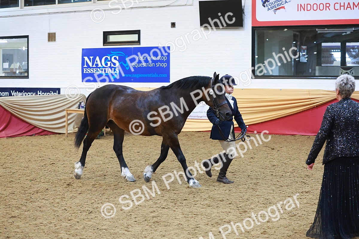 SBM_17844 - Class 952 - M&M Ridden Supreme Final