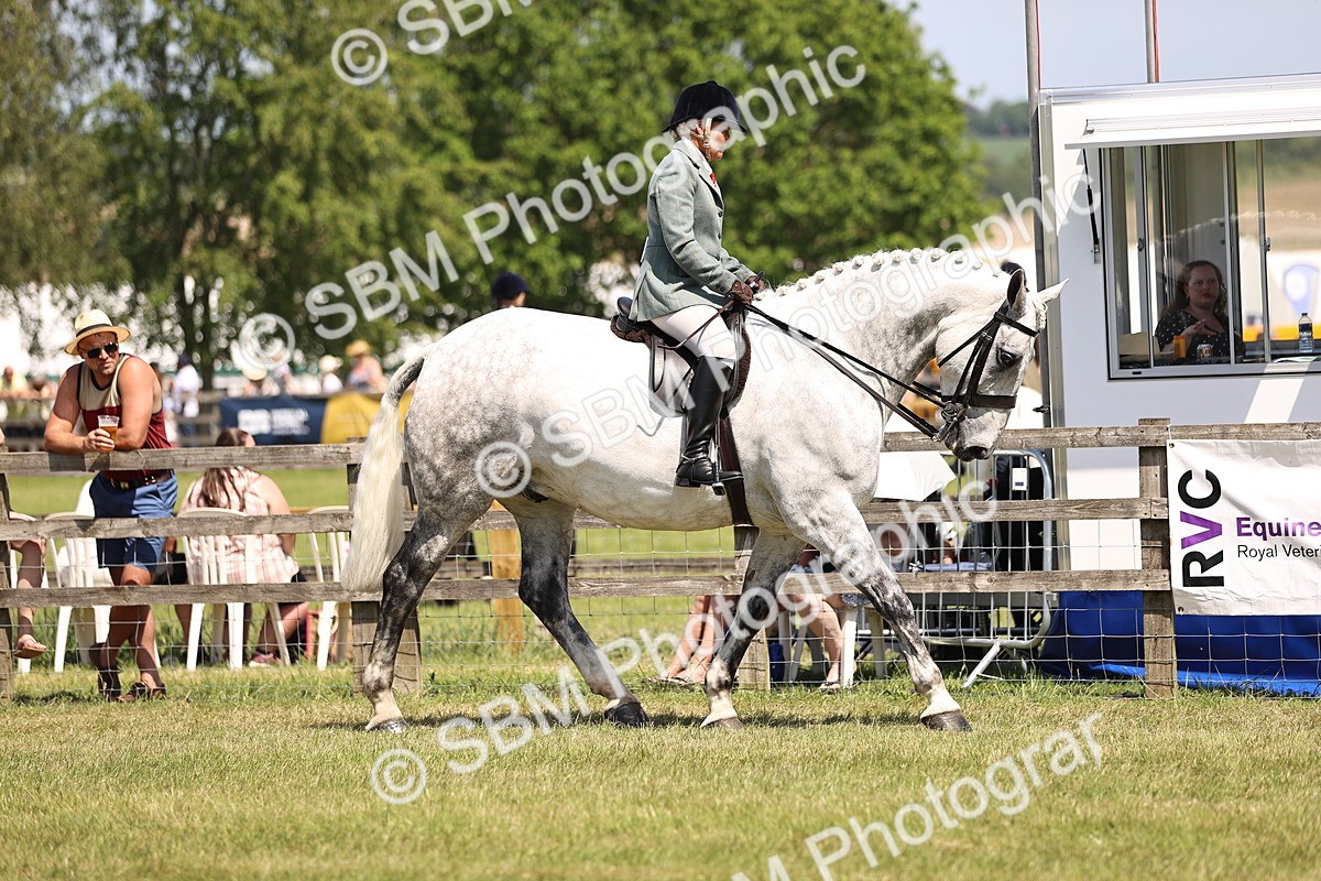 SBM_16091 - Class 79-80 - LIHS BSHA Rising Star Ridden Hunter