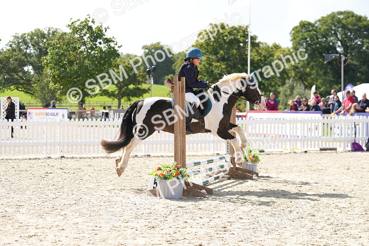 SBM_18198 - J58 - Clear Round 50cm