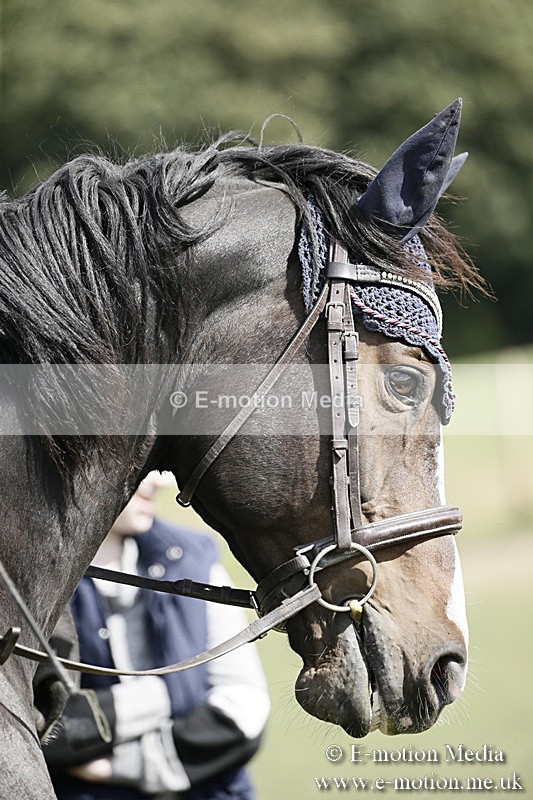 BVR090918 644 - BVRC Dressage and Show Jumping 09/09/18